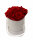 Blumenbouquet, 5 rotfarbene Rosen